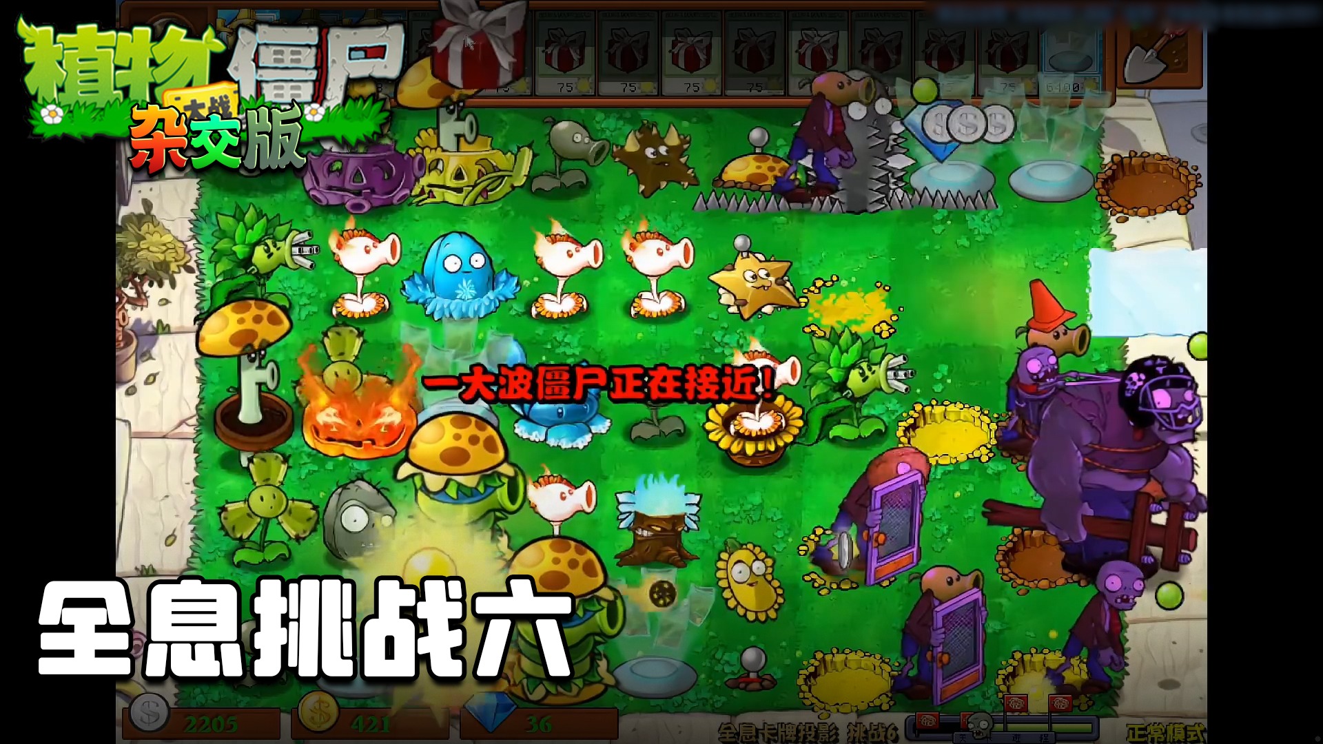 董小飒《植物大战僵尸杂交版》实况第七十五集：全息挑战六