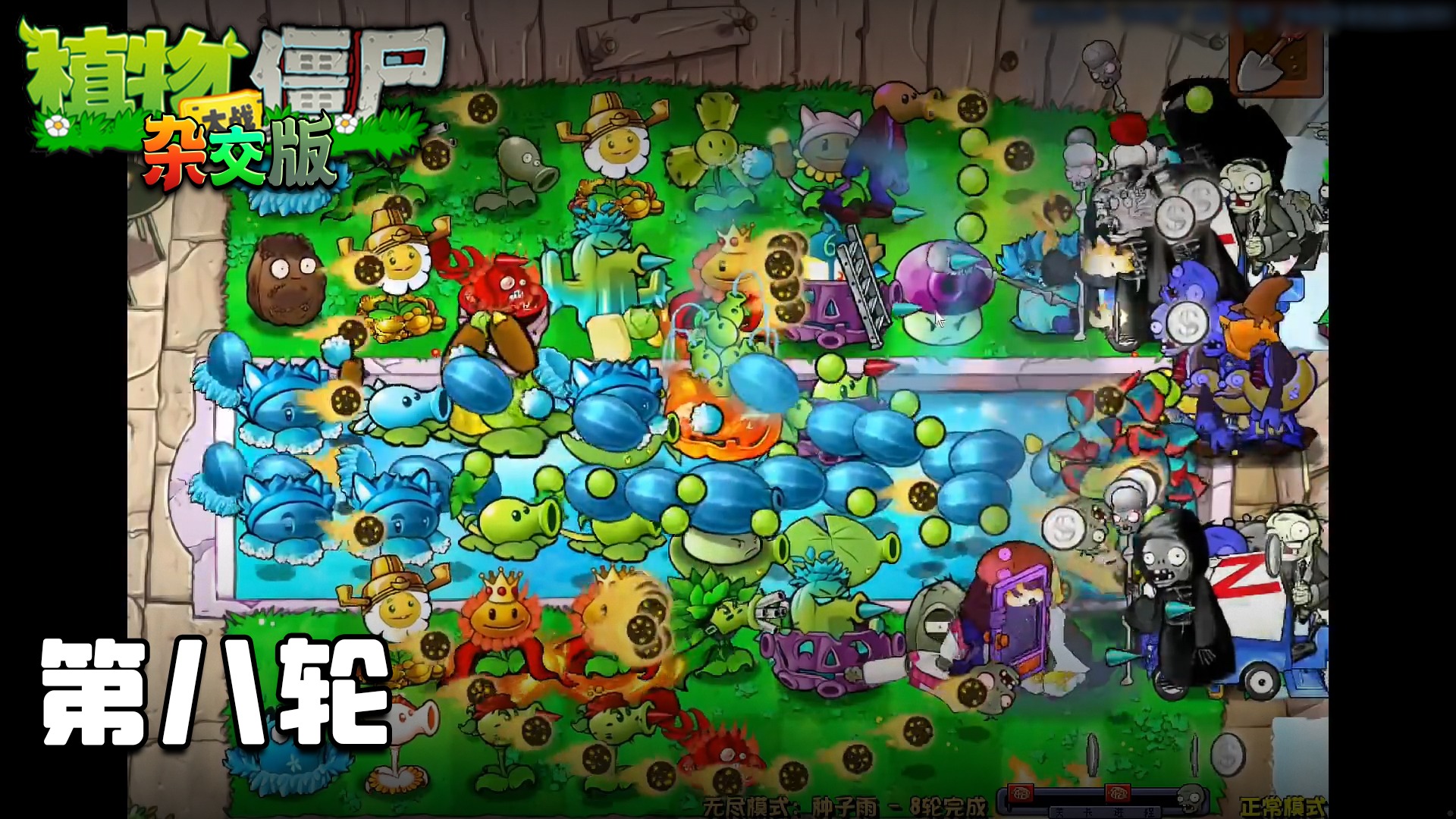 董小飒《植物大战僵尸杂交版》实况第八十一集：第八轮