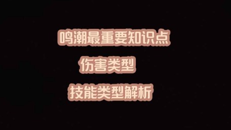 大黄蜂-鸣潮最重要知识点 伤害类型 技能类型解析