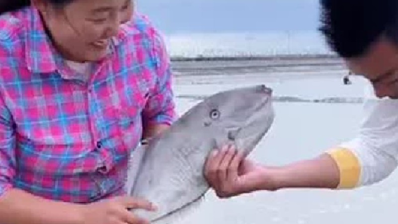 春天就要出去野