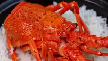 宇姐为什么说吃腻了小龙虾？