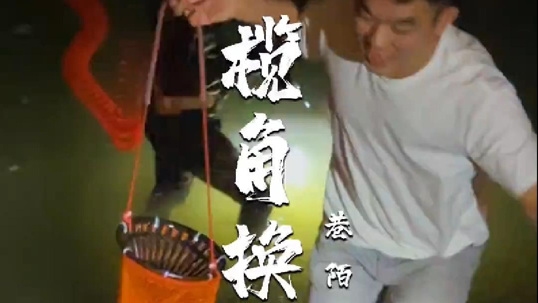 从今天开始我就用脸盆来练潜水，那么多海鲜看得我馋死了