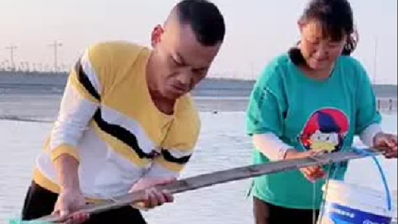 春天就要出去野