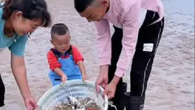 今日赶海又是满满的收货