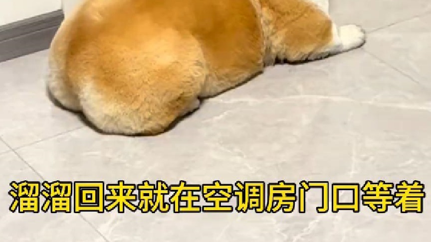 看你们到底什么时候给本公子开门