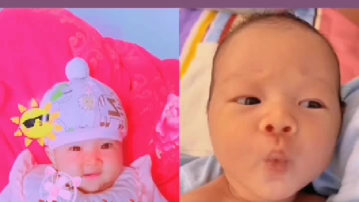 堂堂的诧异（糖糖爷爷制作）