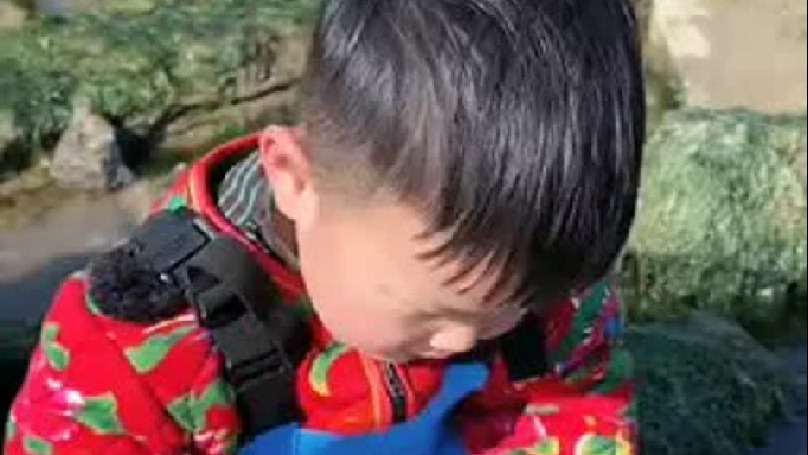 赶海的日常生活