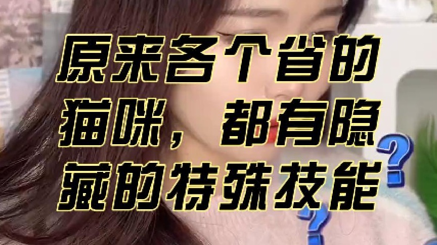 原来各个省的猫咪，都有隐藏的特殊技能