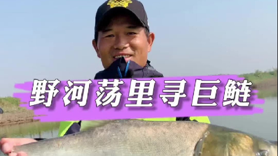 野河荡里寻巨鲢。