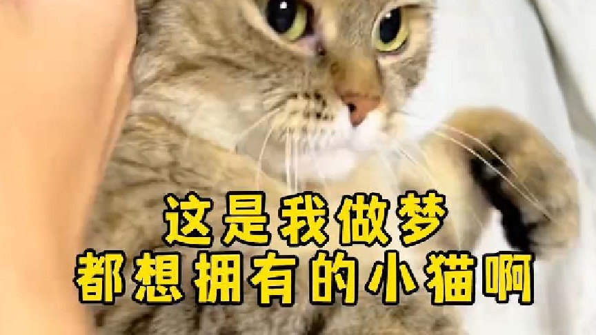 梦醒了有点灰还在身边躺着