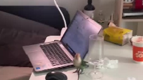 上了个厕所回来发现