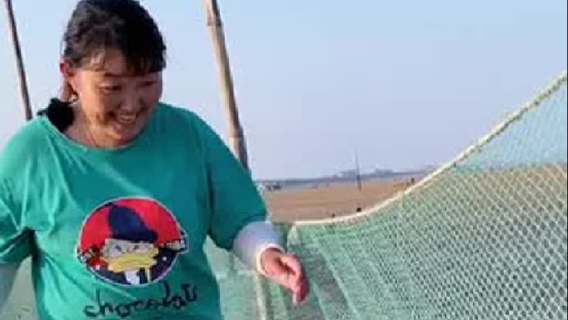 日常赶海的生活