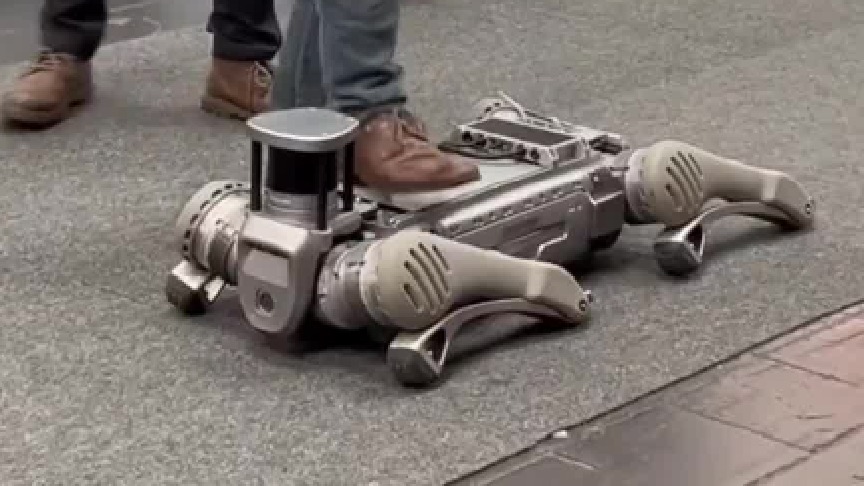 我有个想法，背部安装一个靠背椅，骑着狗去上班。