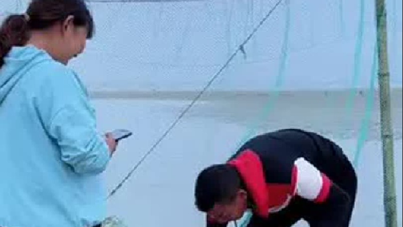 春天就要出去野