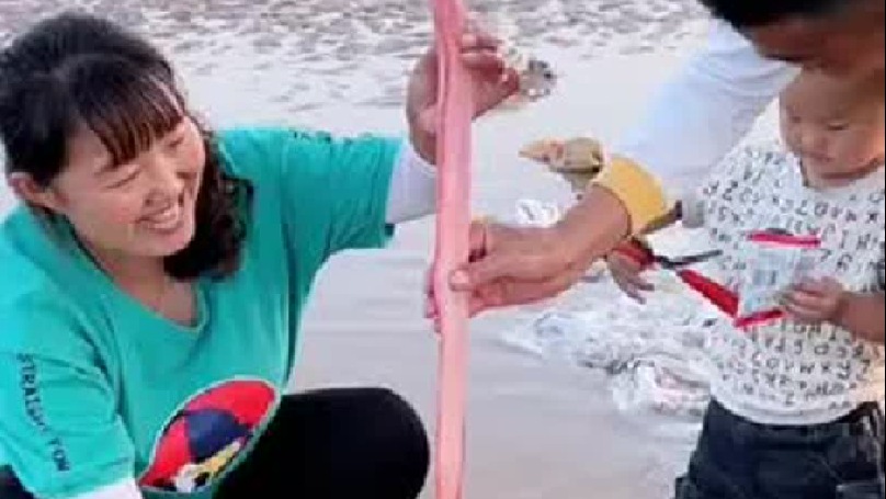 大家看看能不能认出这是什么鱼