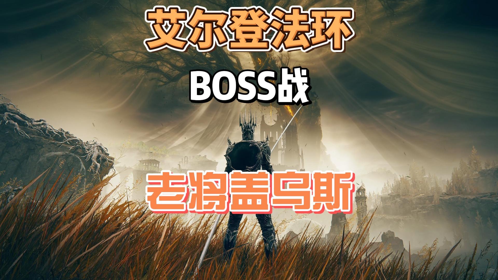 艾尔登法环DLC之老将盖乌斯（山猪骑士）一次包过攻略