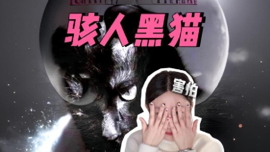 现实案例看完这些你还觉得黑猫不吉利吗