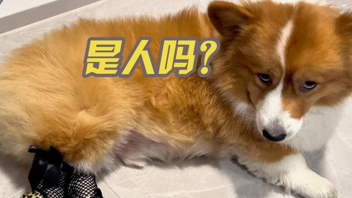 要不你自己试试好看不