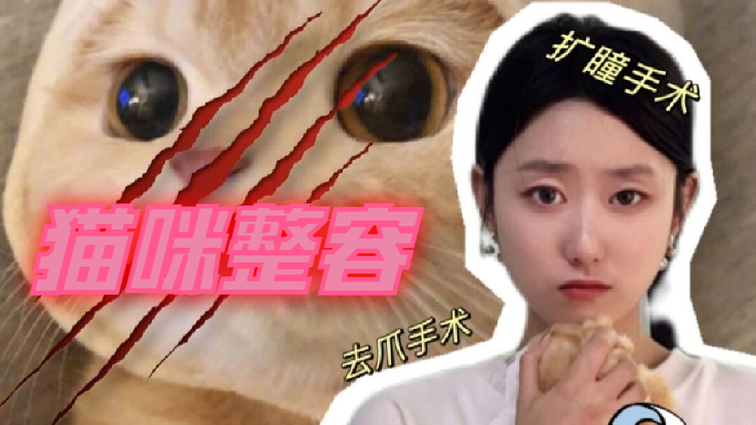 畸形审美害猫行为，做一个都不配养猫