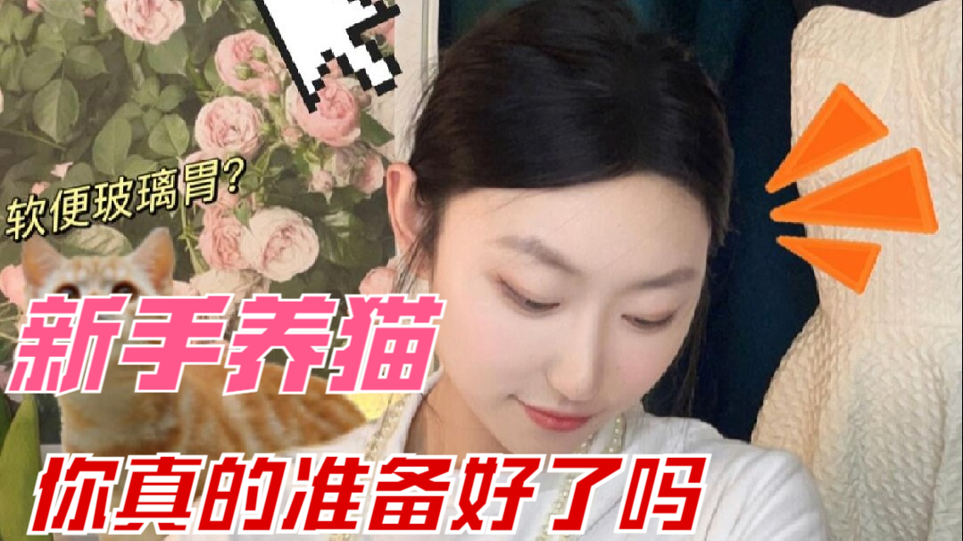 新手养猫，注意这些你真的准备好了吗