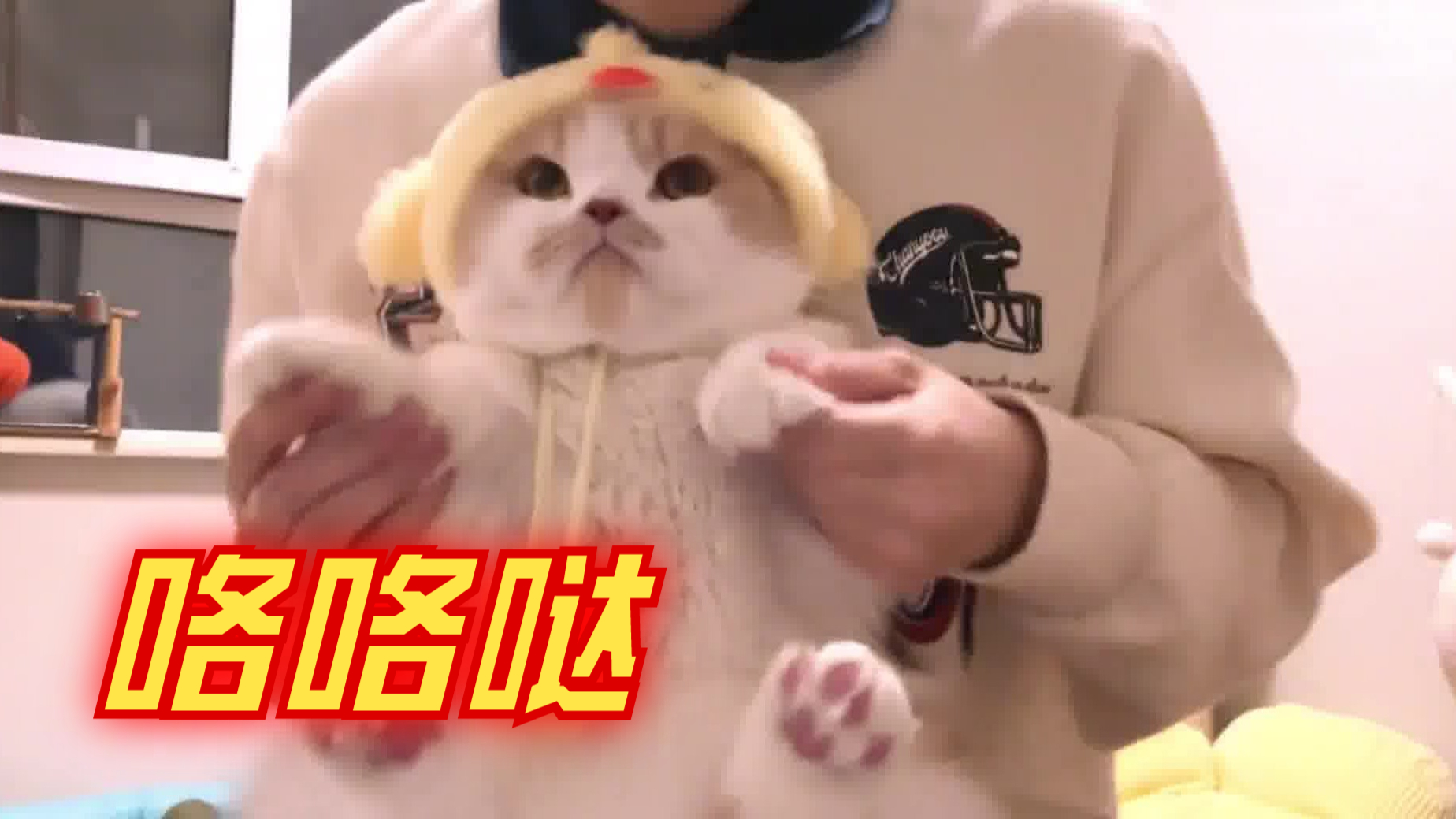 小贵影像八嘎跳舞珍