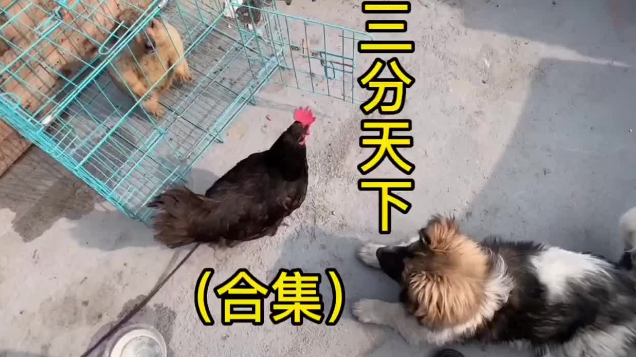 重新发一个三小只的全集。