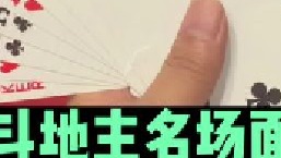 斗地主名场面第23集：一张单9镇圈啊，打的太漂亮了