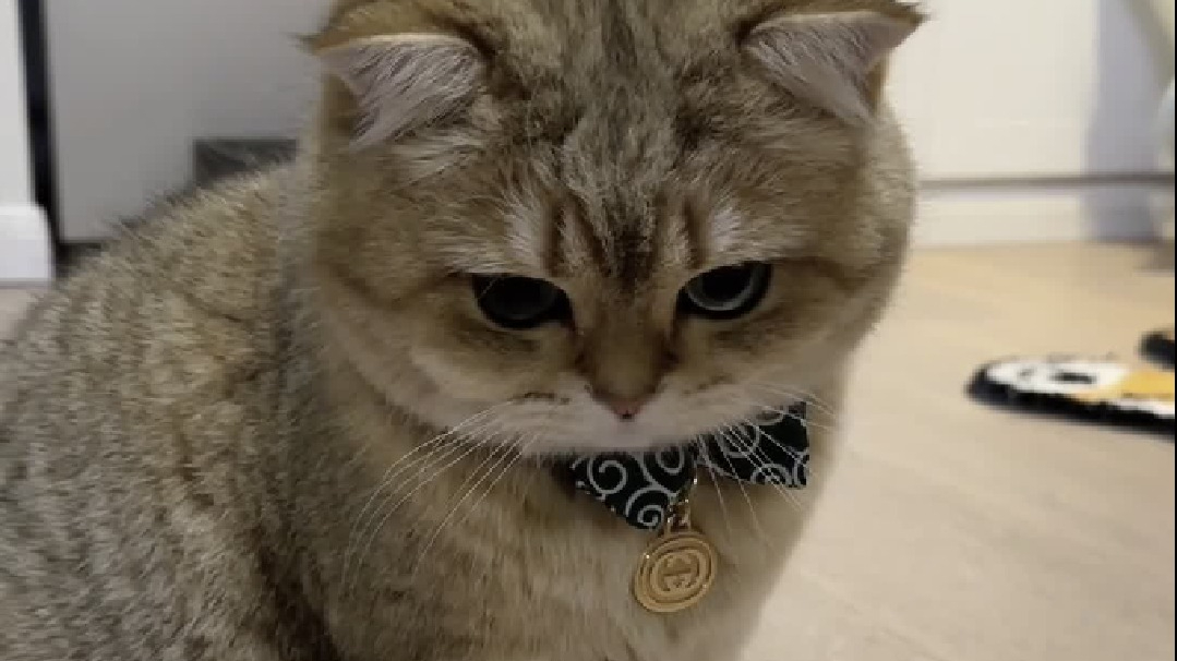 你看我今天说过一句话了么