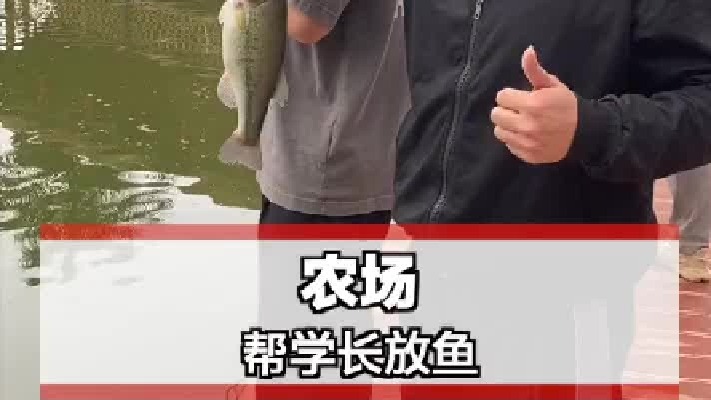 一秒上鱼是种什么体验！