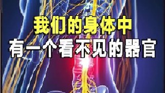 我们体内有个看不见的“器官”？就连西医也无法找到？是真是假