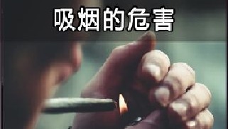 一次性抽完300根烟，会怎么样？请认真看完这个视频