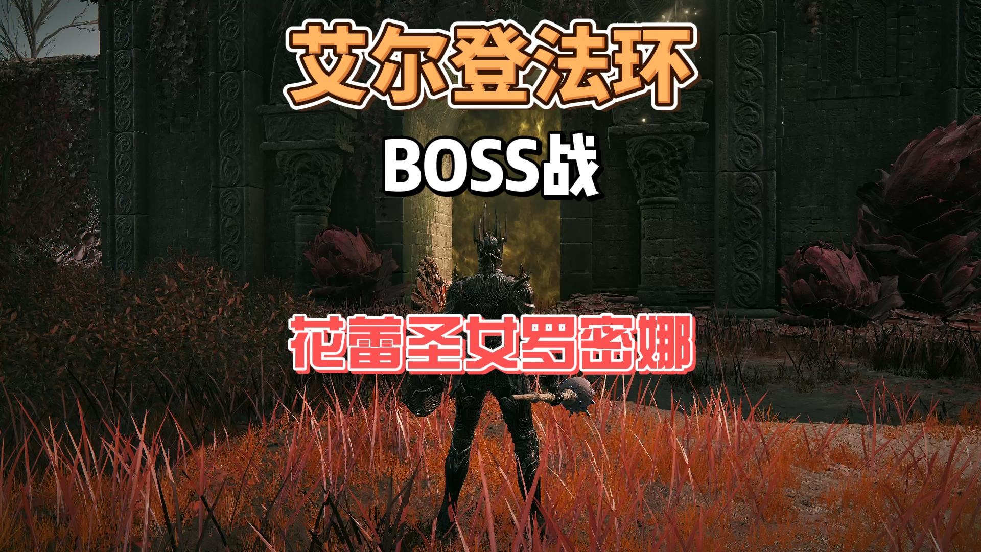 艾尔登法环DLC之花蕾圣女萝蜜娜法师攻略#老头环#steam游戏#游戏攻略#黄金树之影