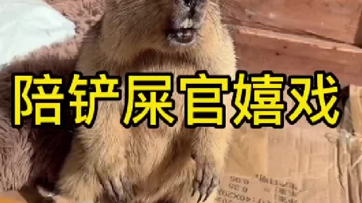 试图让它啊一声。失败。