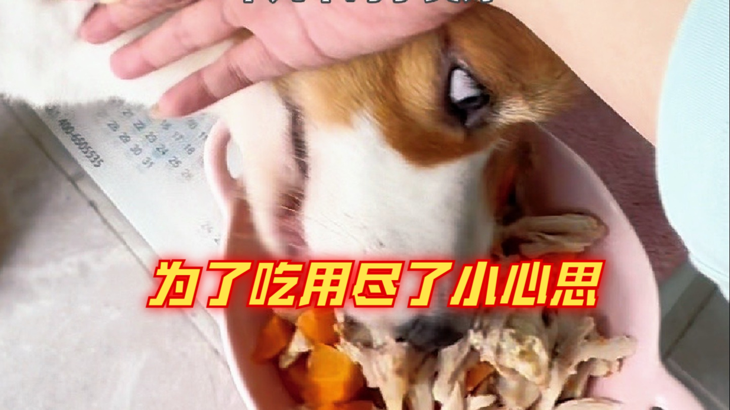 为了吃用尽了小心思