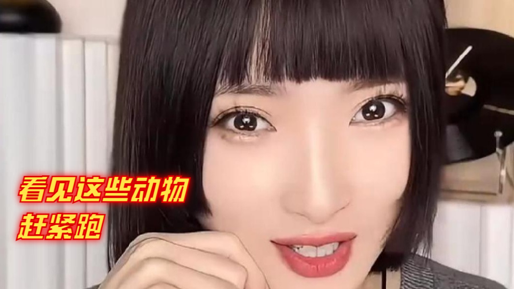 看见这些动物赶紧跑