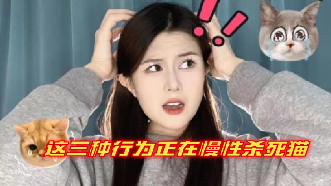 这三种行为正在慢性杀死猫