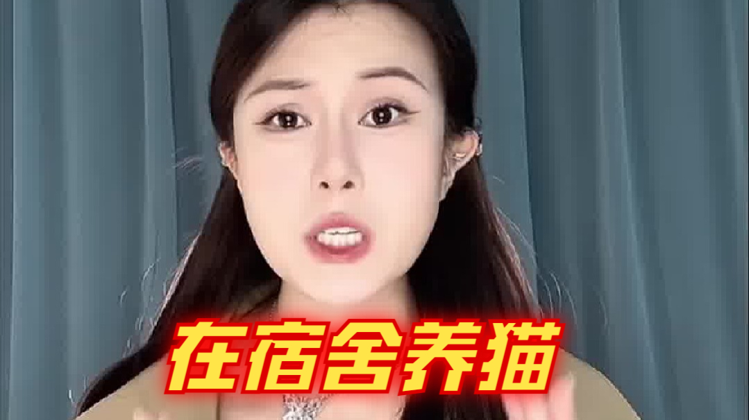 在宿舍实现养猫自由