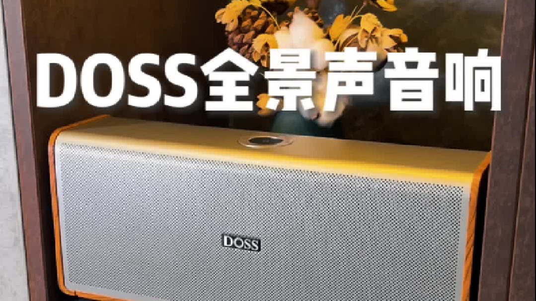 DOSS全景声音箱不仅仅是一款音响设备更是一种生活品质的提升