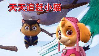 汪汪隊立大功世界：天天追蹤貓咪 小克清除雪地障礙