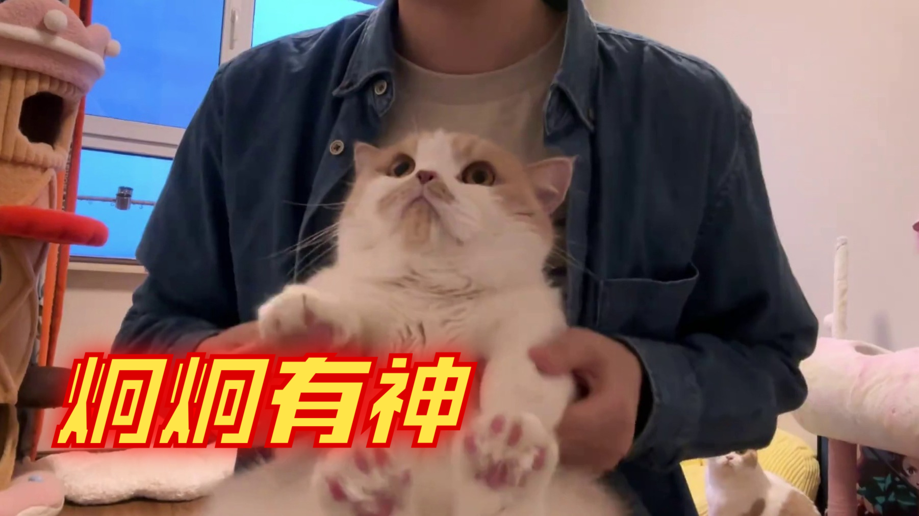 看到你受委屈我会伤心手势舞