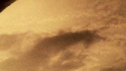 《拿起枪的简》（第33段）▏如果可以岁月静好，谁愿暴力强悍 #影视解说 #高分电影  #拿起枪的简