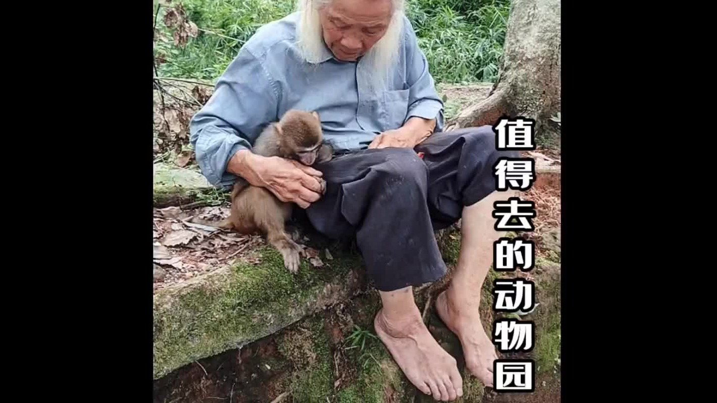 唯有真心爱护，才是真正合格的动物园