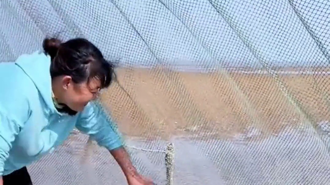 春天就要出去野