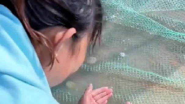 赶海的日常生活