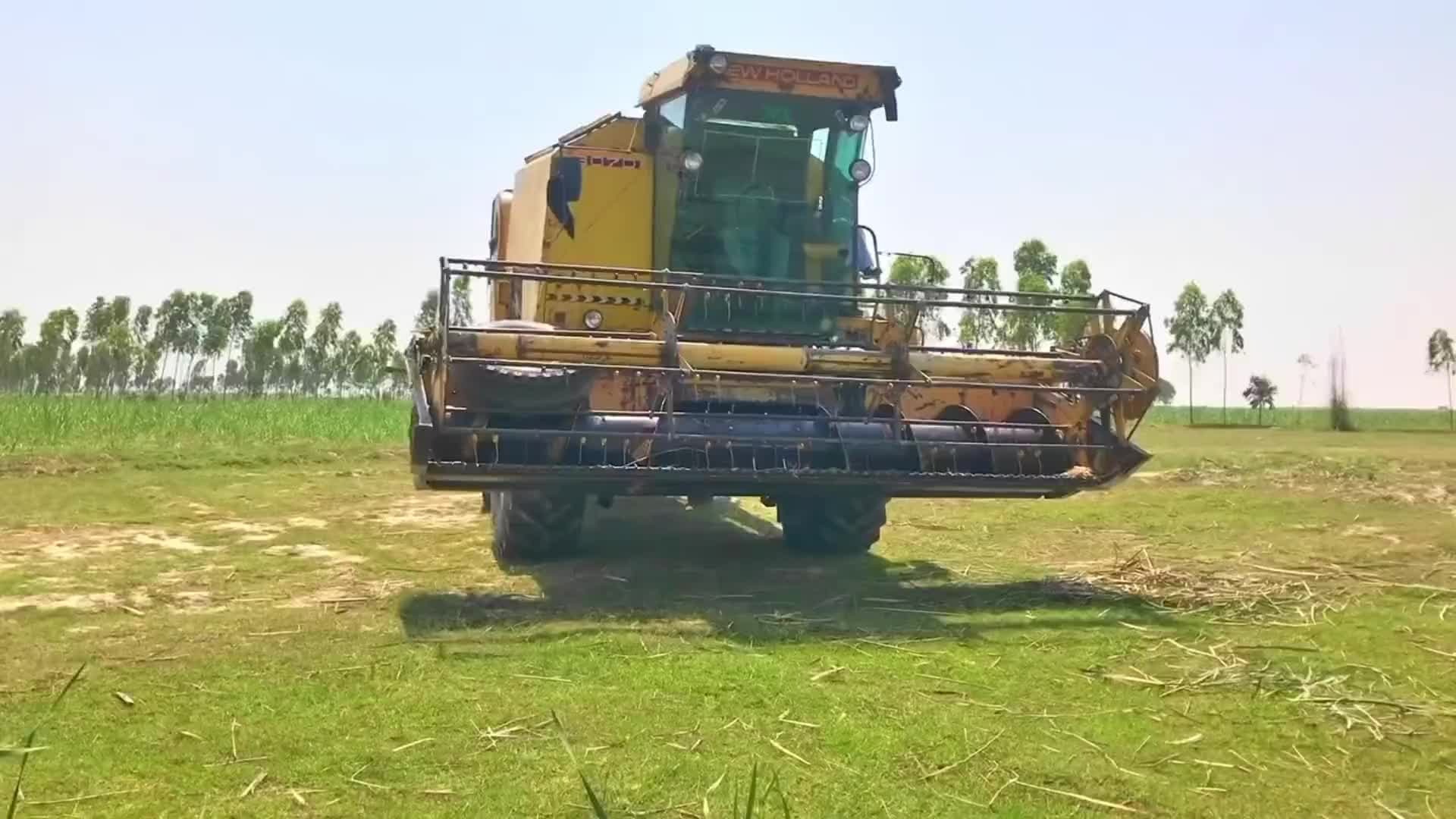 巴铁用巧妙的方法将重达七吨的收割机了驼到对岸，这操作真的不可思议。
