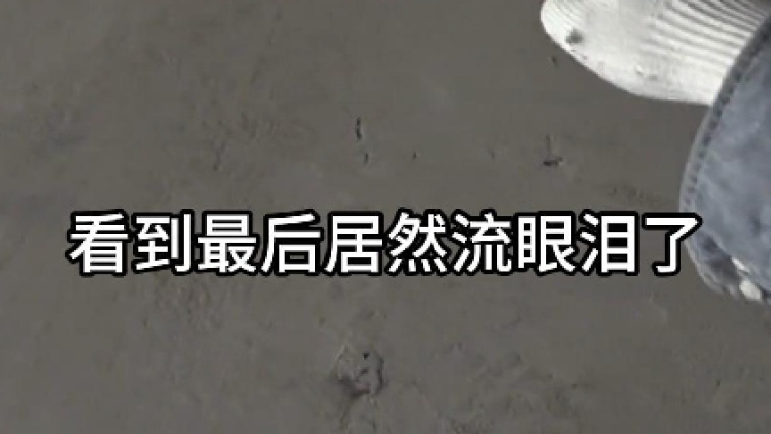 看到最后居然流眼泪了