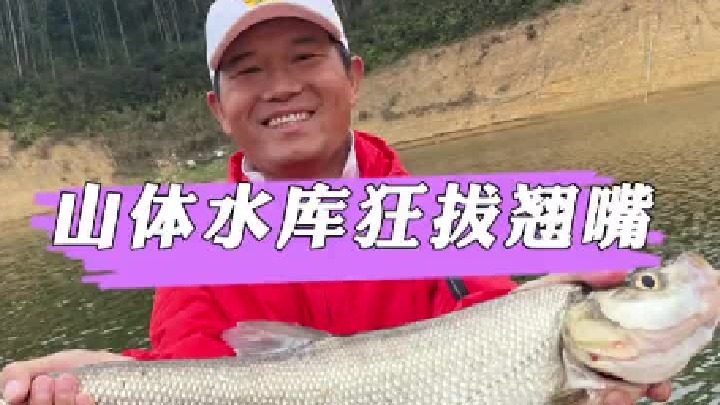 牛角笼山体水库狂拔翘嘴。