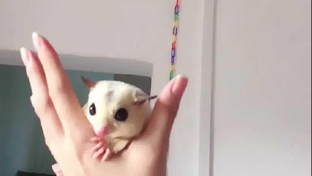 我才不在乎别人喜不喜欢它，它有我喜欢就够了