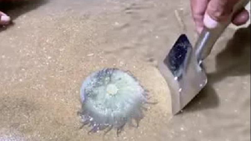 春天就要出去野