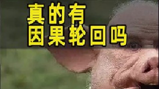 1932年的上海，真的发生了人猪轮回吗？难道又是一场骗局？